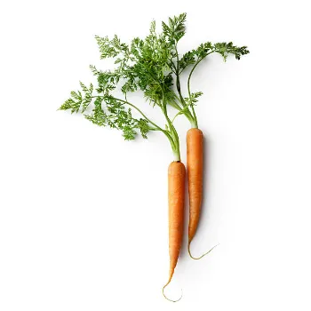 carrot-24 (1)-1573539-56043.webp